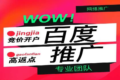 竞价排名的投放策略与效果评估案例